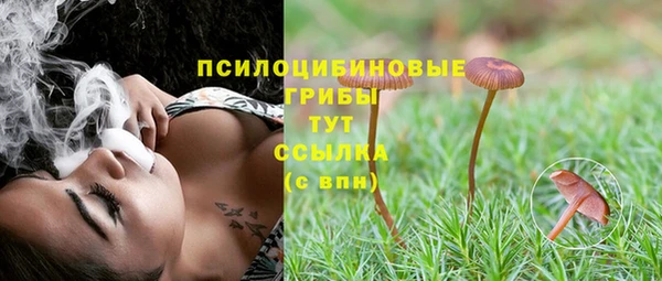 спиды Балахна