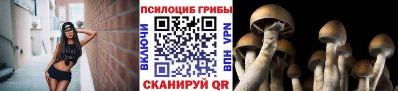 купить  сайты  Верхняя Салда  Галлюциногенные грибы MAGIC MUSHROOMS 